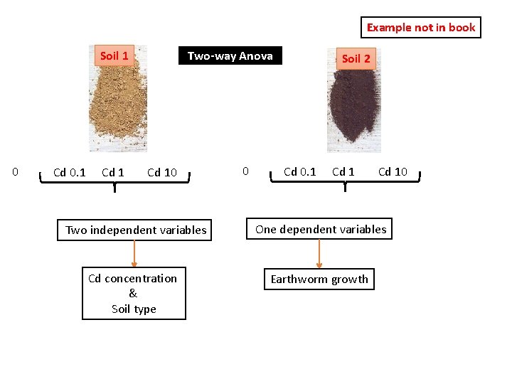 Example not in book Soil 1 0 Cd 0. 1 Cd 1 Two-way Anova