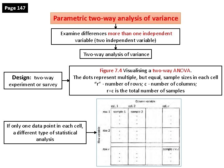 Page 147 Parametric two-way analysis of variance Examine differences more than one independent variable