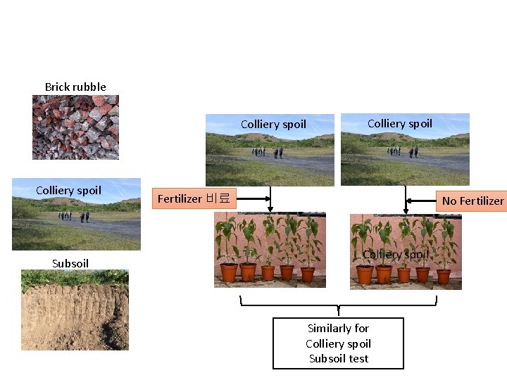 Brick rubble Colliery spoil Fertilizer 비료 No Fertilizer Subsoil Similarly for Colliery spoil Subsoil