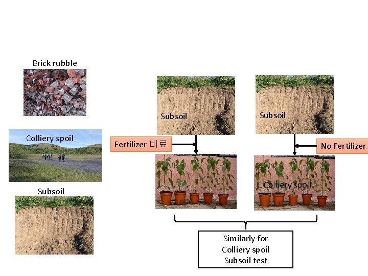 Brick rubble Subsoil Colliery spoil Subsoil Fertilizer 비료 No Fertilizer Subsoil Similarly for Colliery