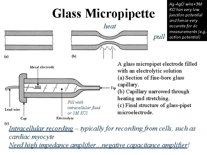 Glass Micropipette heat pull Fill with intracellular fluid or 3 M KCl Ag-Ag. Cl