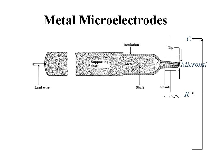 Metal Microelectrodes C Microns! R 