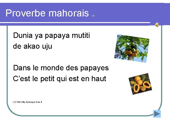 Proverbe mahorais (1) Dunia ya papaya mutiti de akao uju Dans le monde des