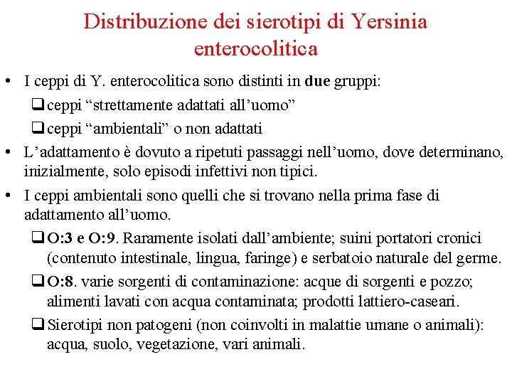 Distribuzione dei sierotipi di Yersinia enterocolitica • I ceppi di Y. enterocolitica sono distinti