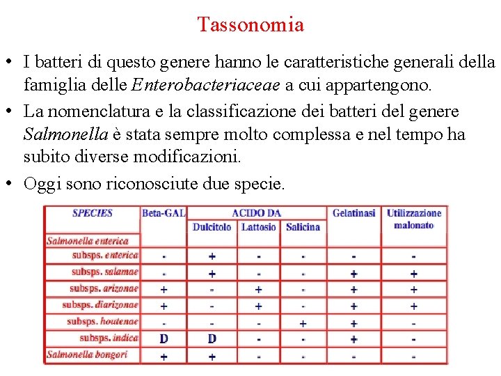 Tassonomia • I batteri di questo genere hanno le caratteristiche generali della famiglia delle