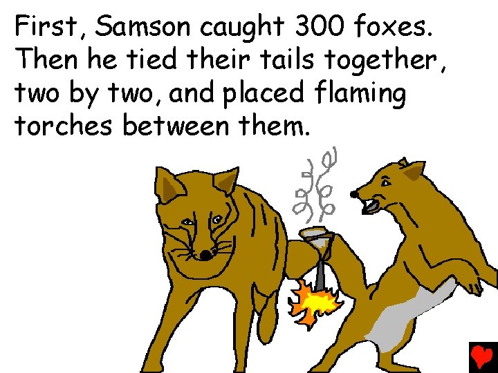 First, Samson caught 300 foxes. Then he tied their tails together, two by two,