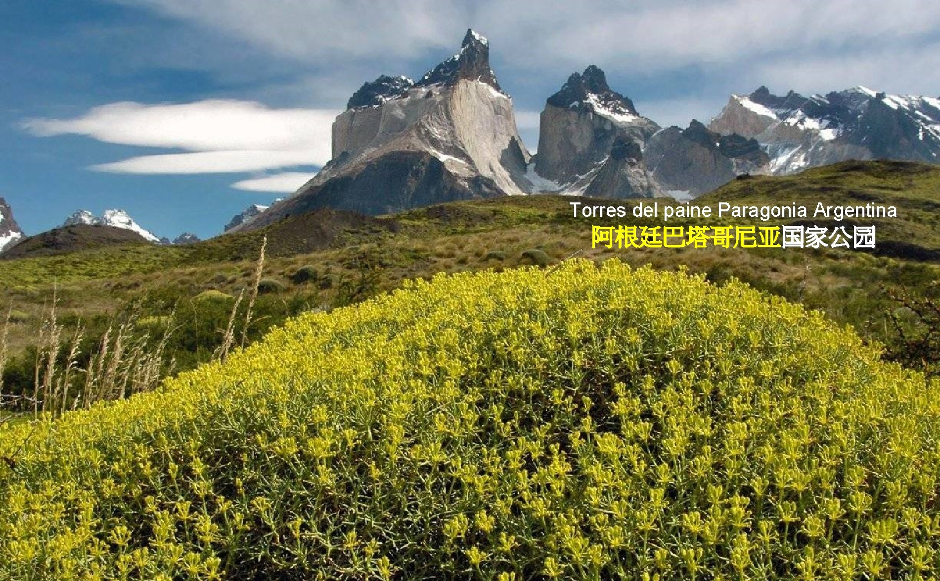 Torres del paine Paragonia Argentina 阿根廷巴塔哥尼亚国家公园 