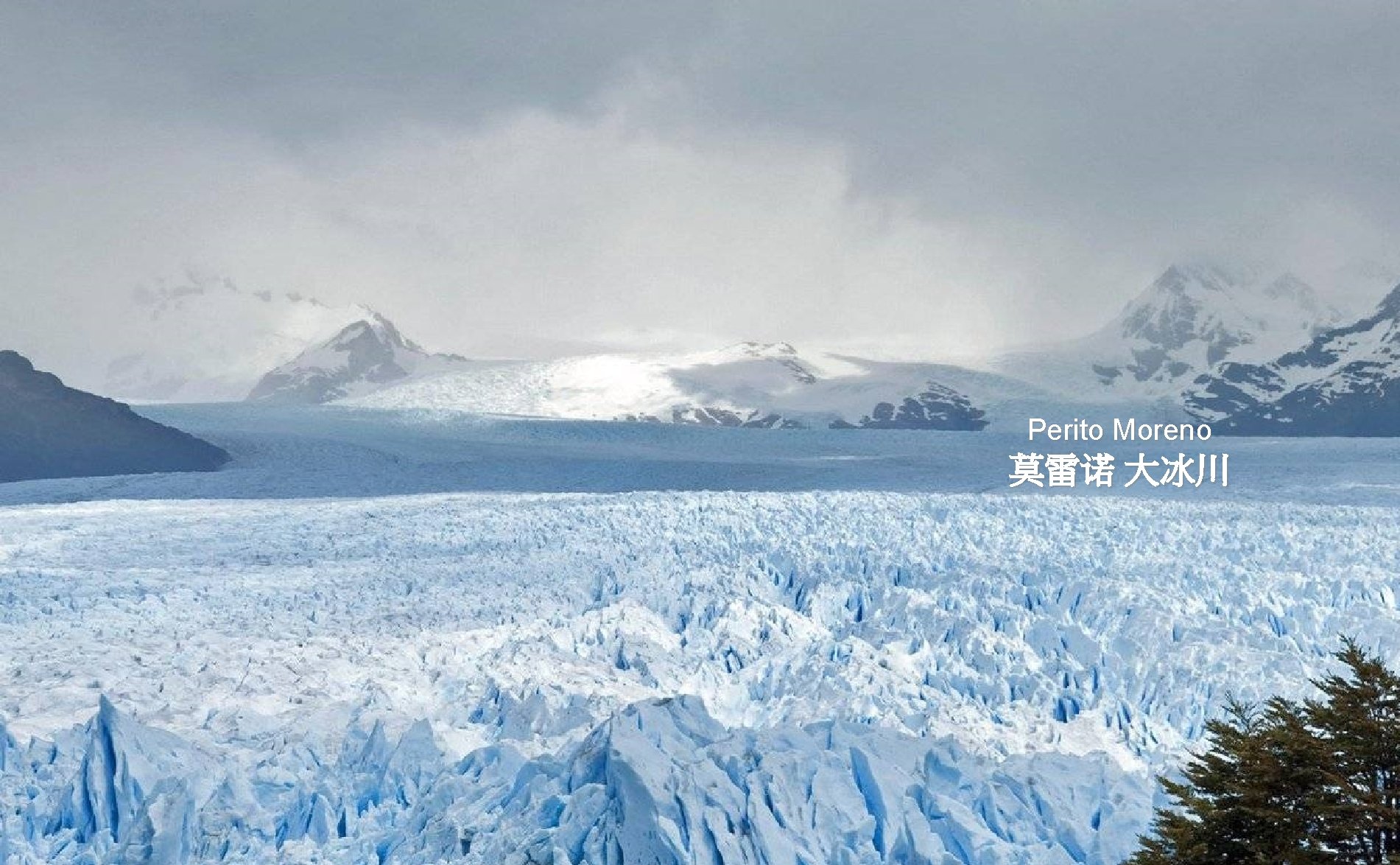 Perito Moreno 莫雷诺 大冰川 