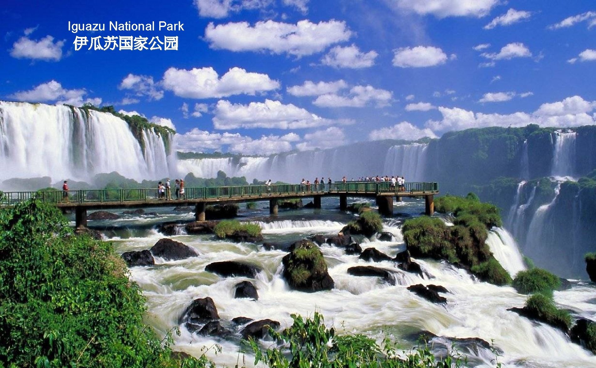 Iguazu National Park 伊瓜苏国家公园 