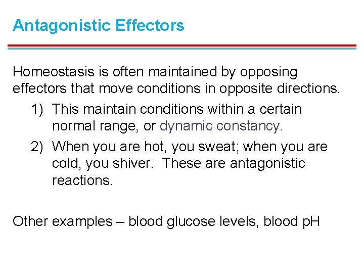 Antagonistic Effectors Homeostasis is often maintained by opposing effectors that move conditions in opposite