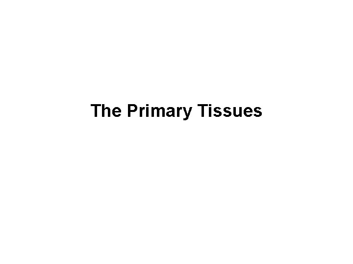 The Primary Tissues 