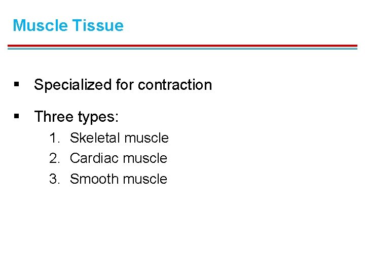 Muscle Tissue § Specialized for contraction § Three types: 1. Skeletal muscle 2. Cardiac