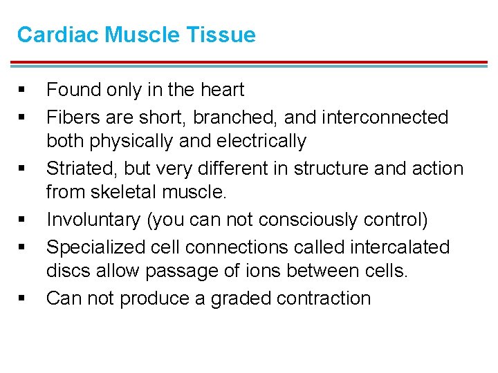 Cardiac Muscle Tissue § § § Found only in the heart Fibers are short,