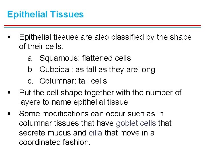 Epithelial Tissues § § § Epithelial tissues are also classified by the shape of