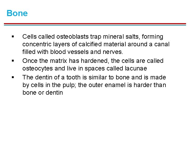 Bone § § § Cells called osteoblasts trap mineral salts, forming concentric layers of