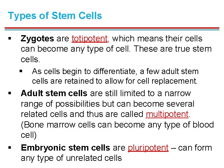 Types of Stem Cells § Zygotes are totipotent, which means their cells can become