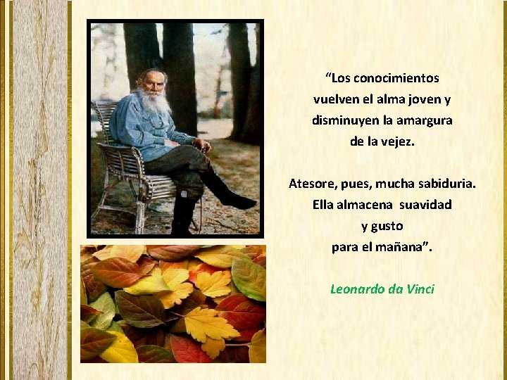 “Los conocimientos vuelven el alma joven y disminuyen la amargura de la vejez. Atesore,