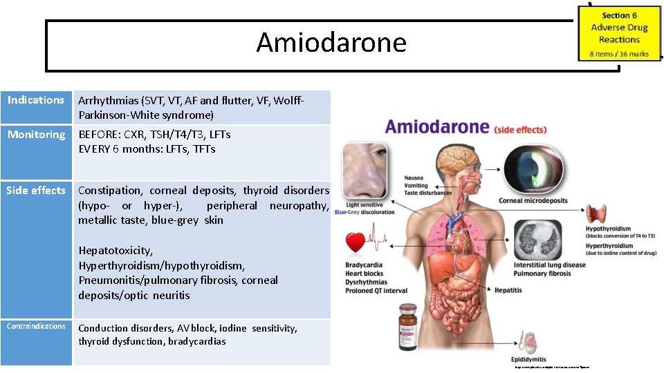 Amiodarone Indications Arrhythmias (SVT, AF and flutter, VF, Wolff. Parkinson-White syndrome) Monitoring BEFORE: CXR,