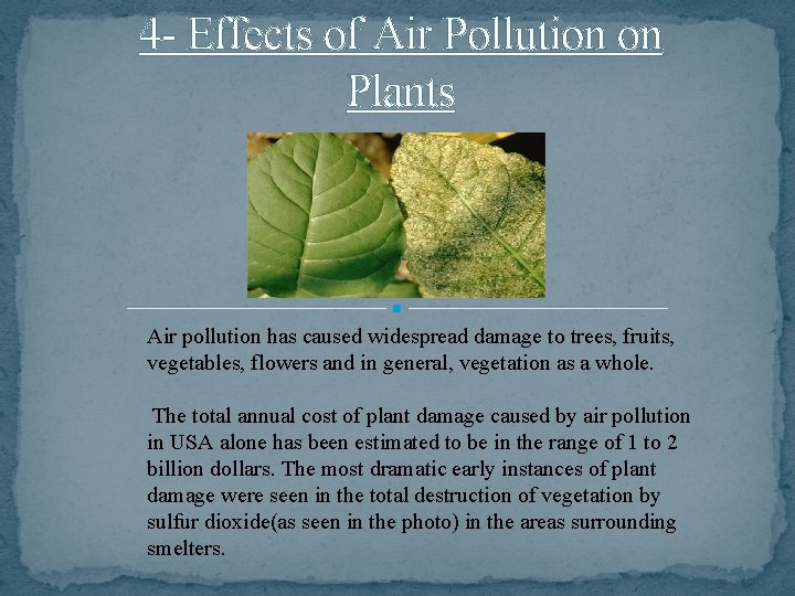 4 - Effects of Air Pollution on Plants Air pollution has caused widespread damage