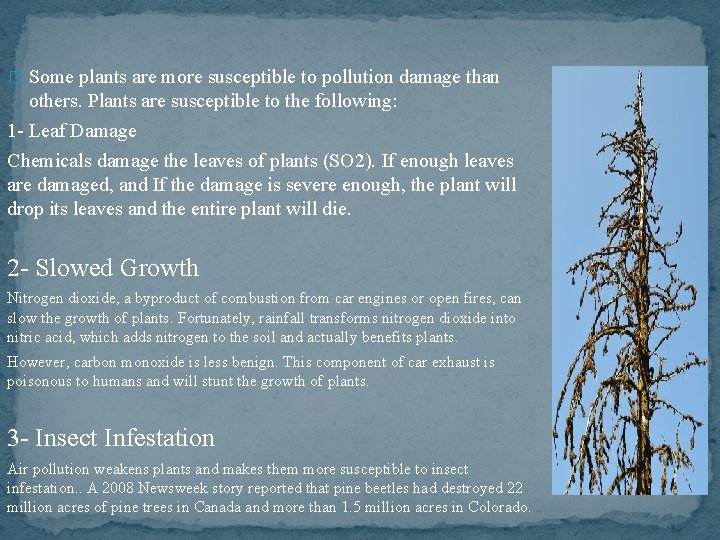 � Some plants are more susceptible to pollution damage than others. Plants are susceptible