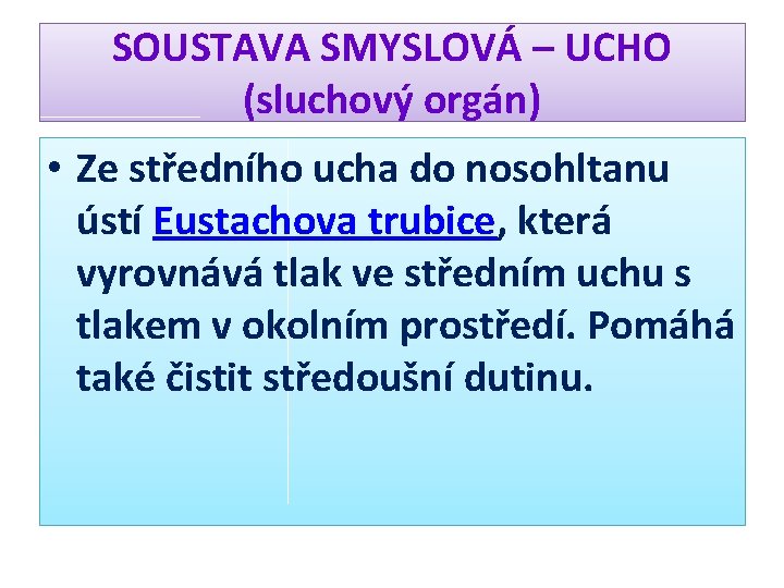 SOUSTAVA SMYSLOVÁ – UCHO (sluchový orgán) • Ze středního ucha do nosohltanu ústí Eustachova