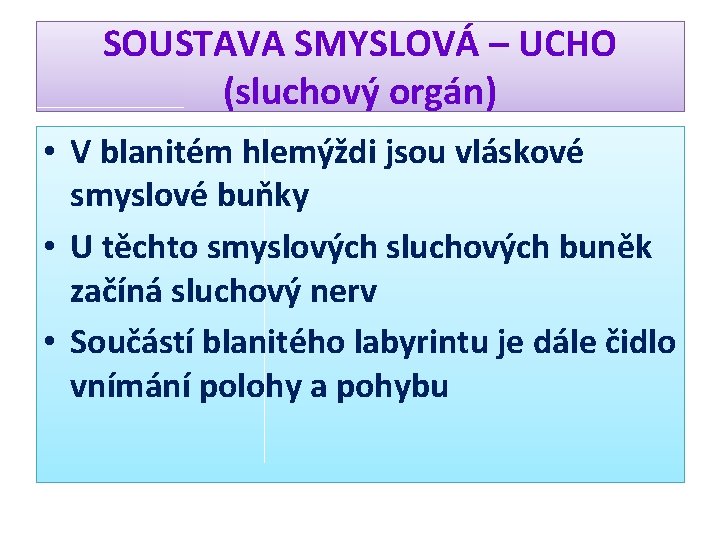 SOUSTAVA SMYSLOVÁ – UCHO (sluchový orgán) • V blanitém hlemýždi jsou vláskové smyslové buňky