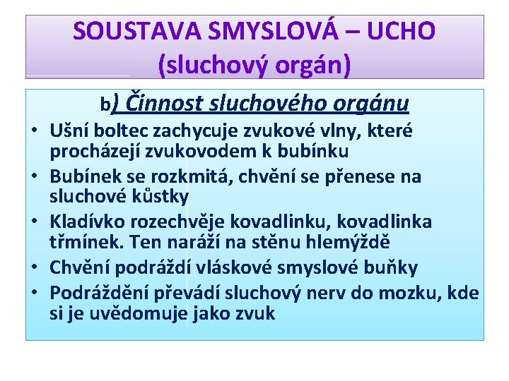 SOUSTAVA SMYSLOVÁ – UCHO (sluchový orgán) • • • b) Činnost sluchového orgánu Ušní