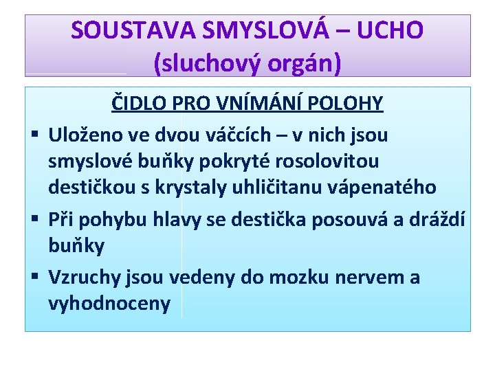 SOUSTAVA SMYSLOVÁ – UCHO (sluchový orgán) ČIDLO PRO VNÍMÁNÍ POLOHY § Uloženo ve dvou