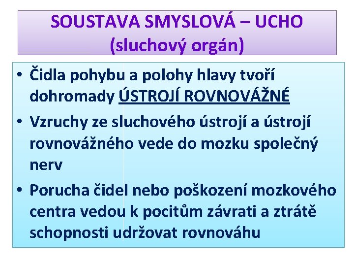 SOUSTAVA SMYSLOVÁ – UCHO (sluchový orgán) • Čidla pohybu a polohy hlavy tvoří dohromady