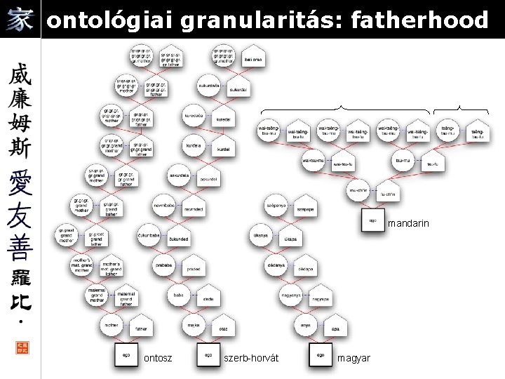 ontológiai granularitás: fatherhood 3/11/2021 mandarin ontosz szerb-horvát magyar 