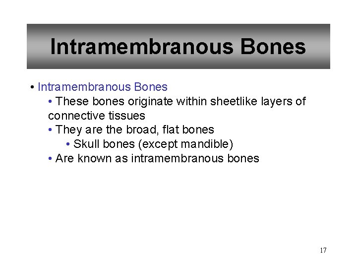 Intramembranous Bones • These bones originate within sheetlike layers of connective tissues • They