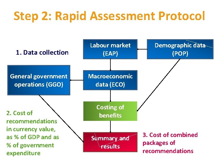 Step 2: Rapid Assessment Protocol 1. Data collection Labour market (EAP) General government operations