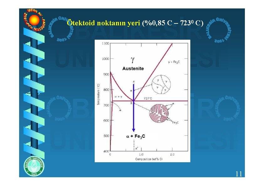 Ötektoid noktanın yeri (%0, 85 C – 7230 C) 11 