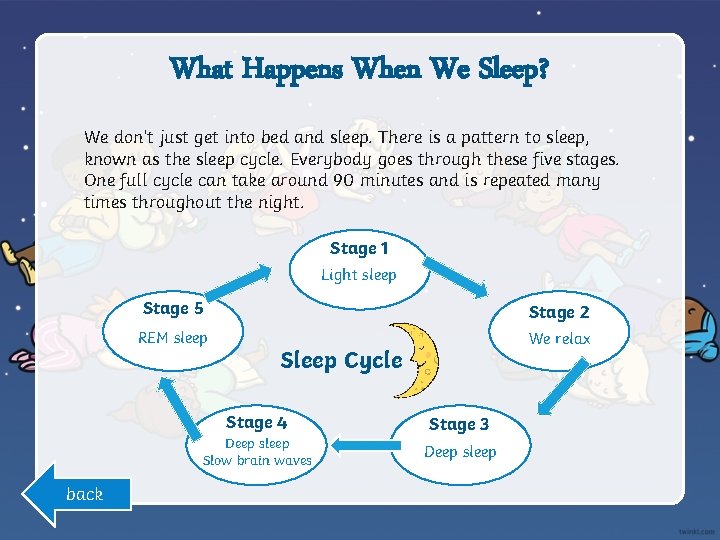 What Happens When We Sleep? We don’t just get into bed and sleep. There