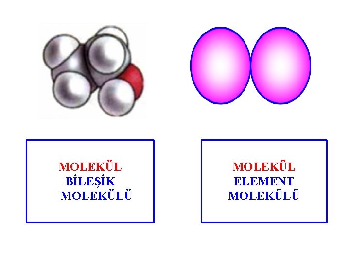 MOLEKÜL BİLEŞİK MOLEKÜLÜ MOLEKÜL ELEMENT MOLEKÜLÜ 