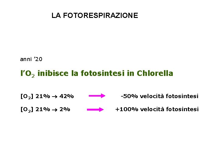 LA FOTORESPIRAZIONE anni ’ 20 l’O 2 inibisce la fotosintesi in Chlorella [O 2]