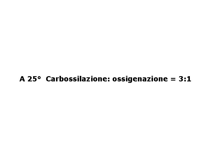 A 25° Carbossilazione: ossigenazione = 3: 1 
