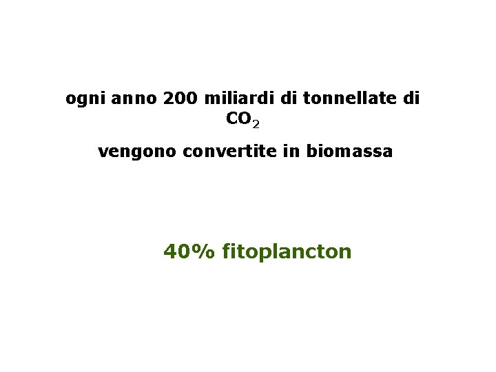 ogni anno 200 miliardi di tonnellate di CO 2 vengono convertite in biomassa 40%