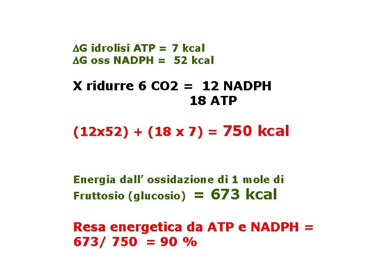 G idrolisi ATP = 7 kcal G oss NADPH = 52 kcal X