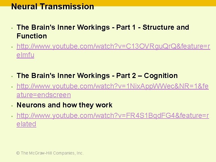 Neural Transmission • • • The Brain's Inner Workings - Part 1 - Structure