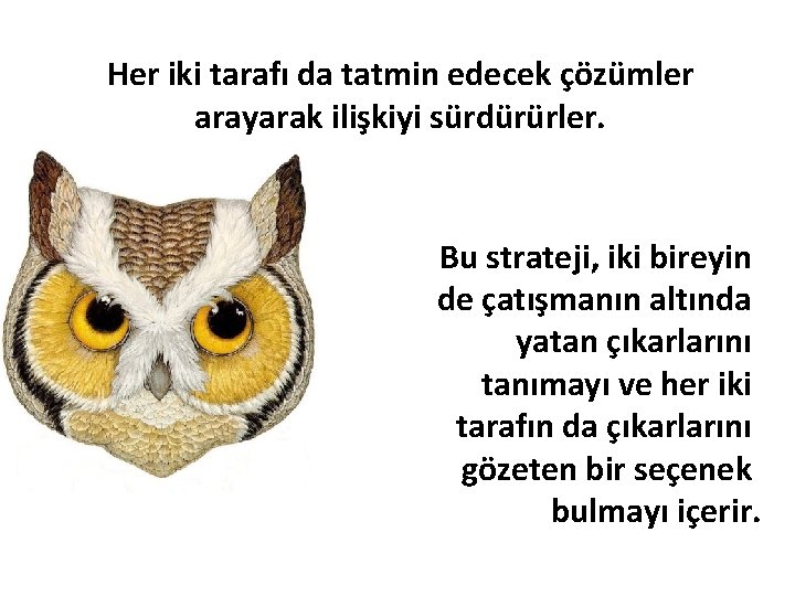 Her iki tarafı da tatmin edecek çözümler arayarak ilişkiyi sürdürürler. Bu strateji, iki bireyin