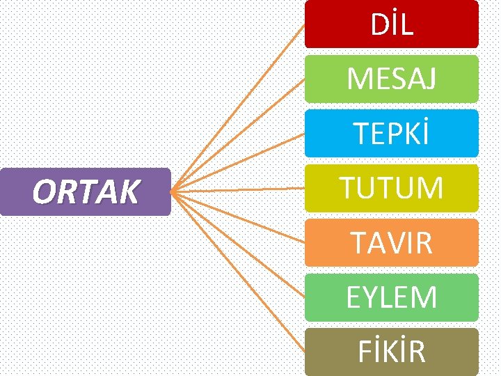 DİL MESAJ TEPKİ ORTAK TUTUM TAVIR EYLEM FİKİR 