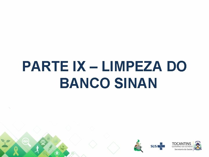 PARTE IX – LIMPEZA DO BANCO SINAN 