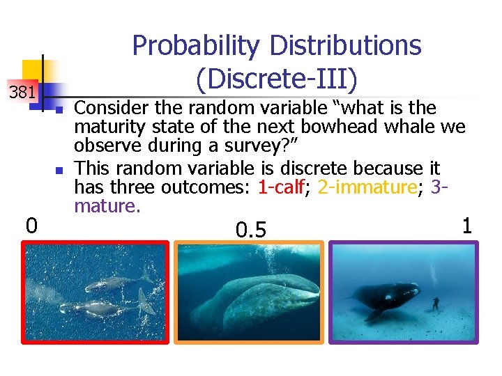 Probability Distributions (Discrete-III) 381 n n 0 Consider the random variable “what is the