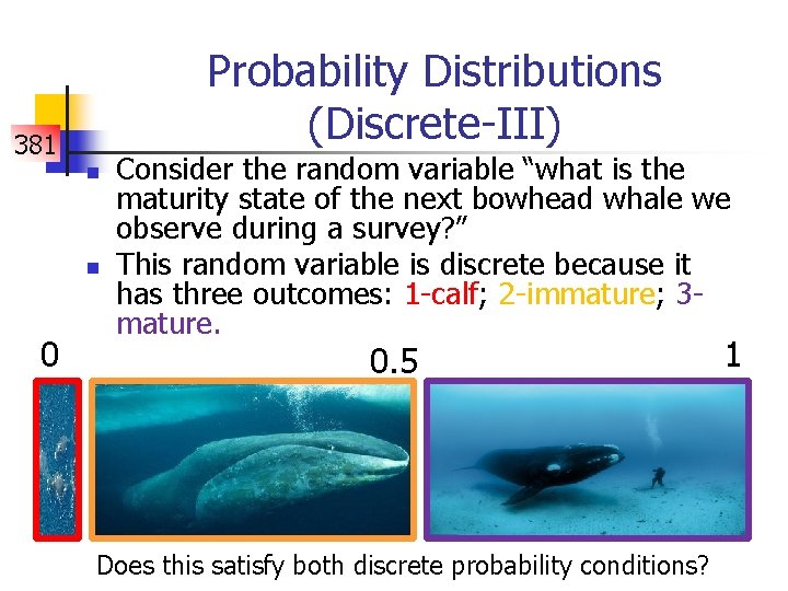 Probability Distributions (Discrete-III) 381 n n 0 Consider the random variable “what is the