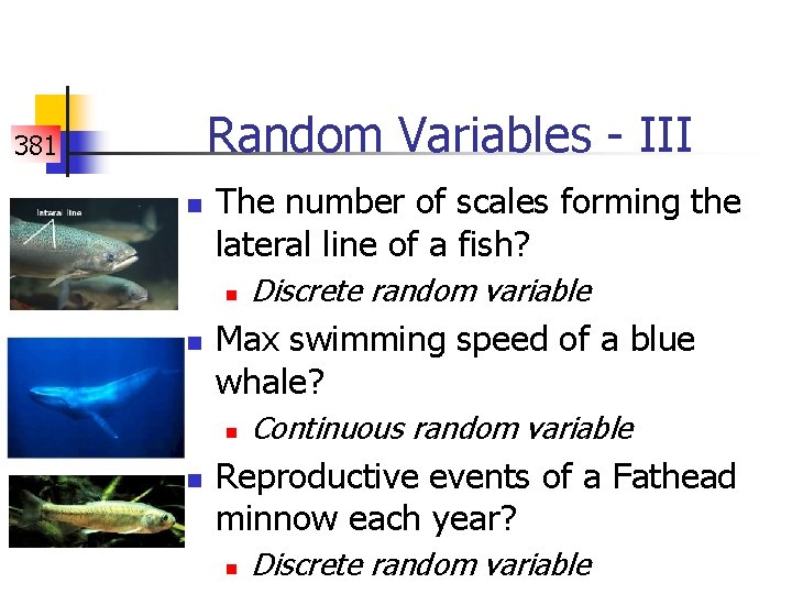 Random Variables - III 381 n The number of scales forming the lateral line