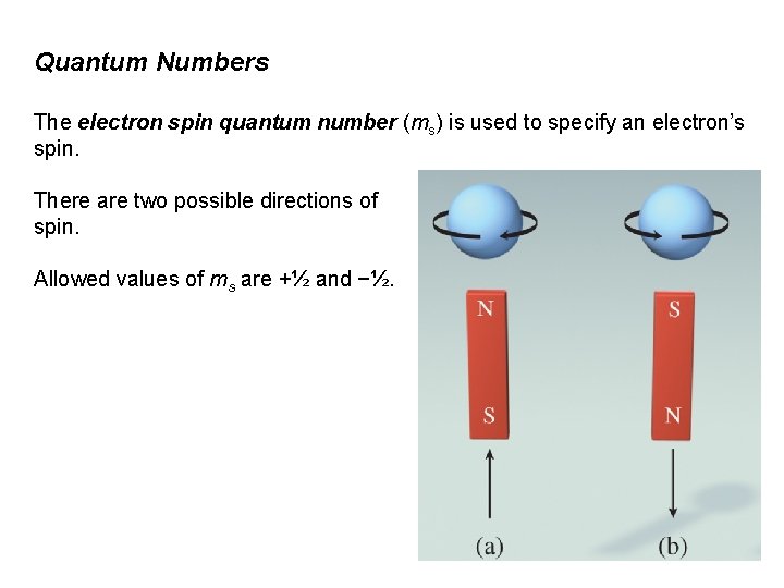 Quantum Numbers The electron spin quantum number (ms) is used to specify an electron’s