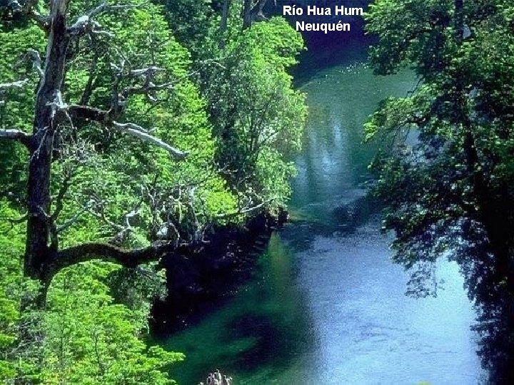 Río Hua Hum Neuquén 