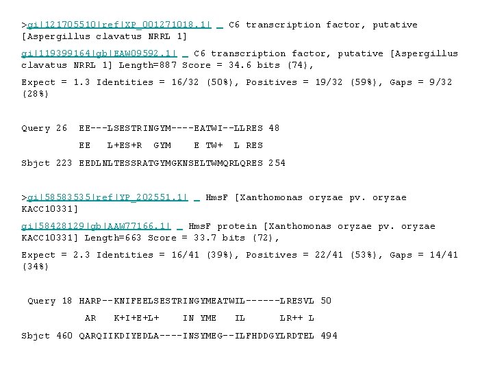 >gi|121705510|ref|XP_001271018. 1| [Aspergillus clavatus NRRL 1] C 6 transcription factor, putative gi|119399164|gb|EAW 09592. 1|