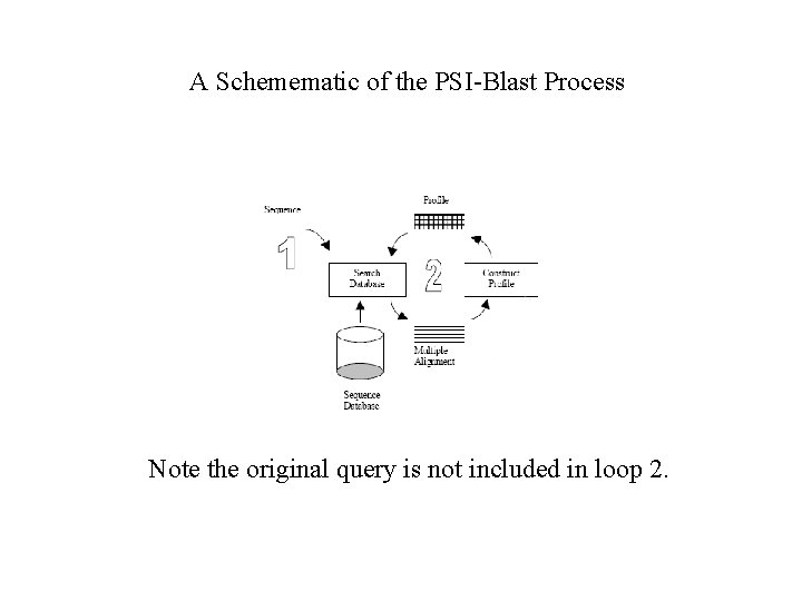 A Schemematic of the PSI-Blast Process Note the original query is not included in